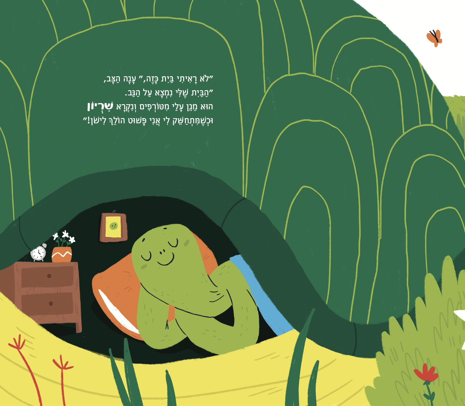איור מהספר